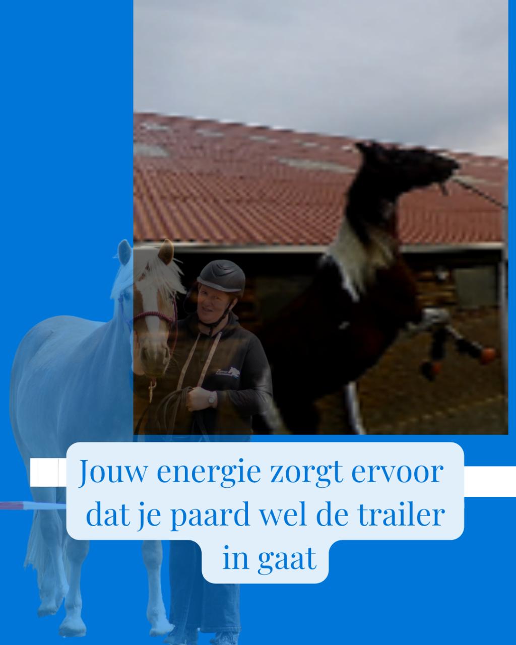 Ze vroeg om een paardentrainer, ze kreeg een coach voor zichzelf