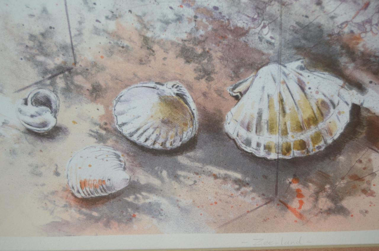 Grote litho Zee-land Marion van Nieuwpoort 21/75