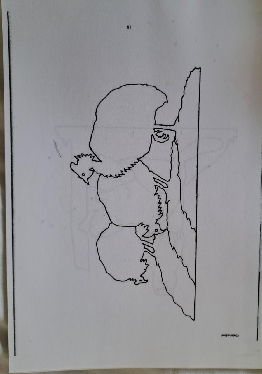 Figuurzaag patronenboek