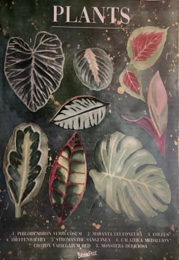 Plantenpuzzel 1000 stukjes