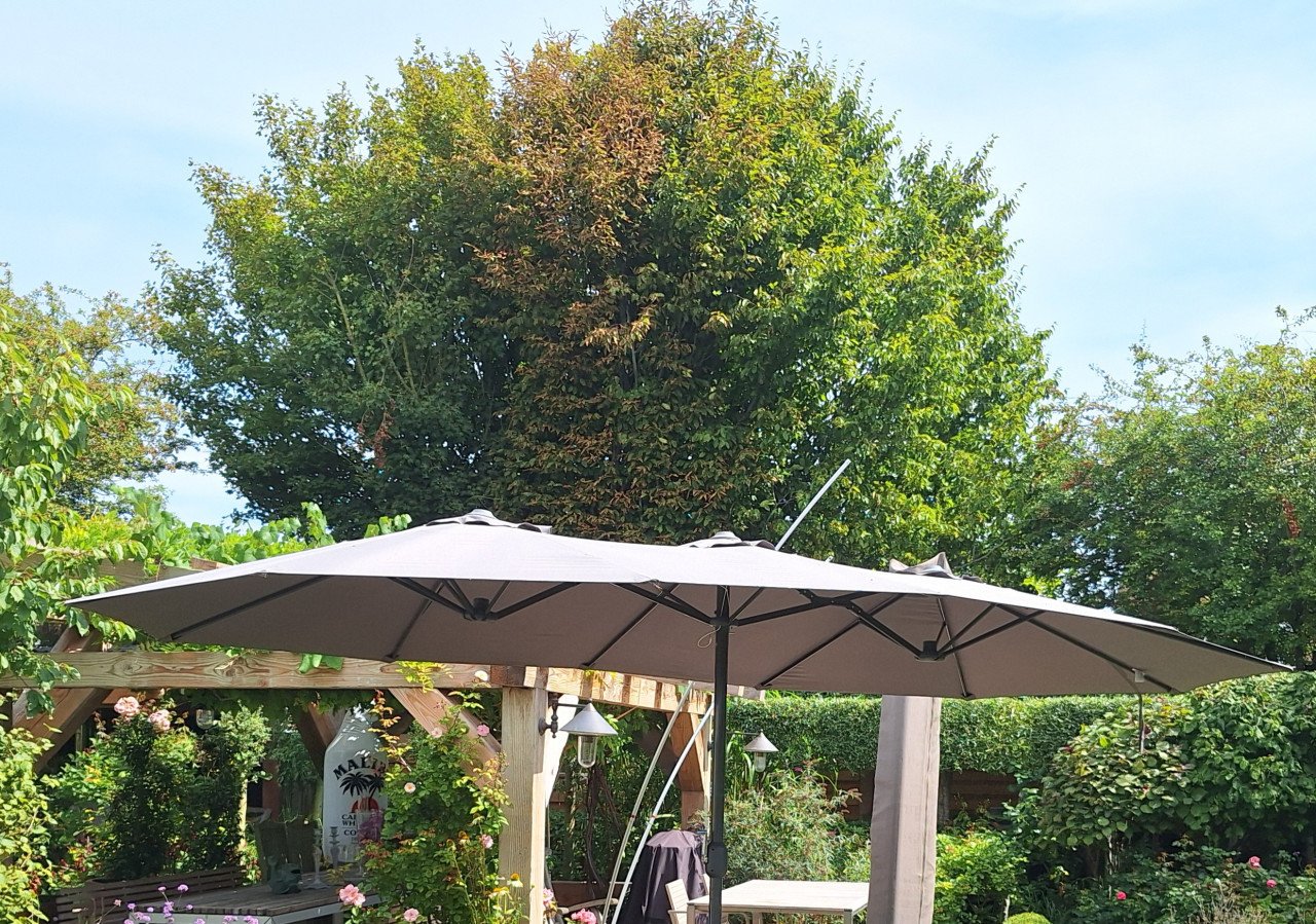 Grote parasol