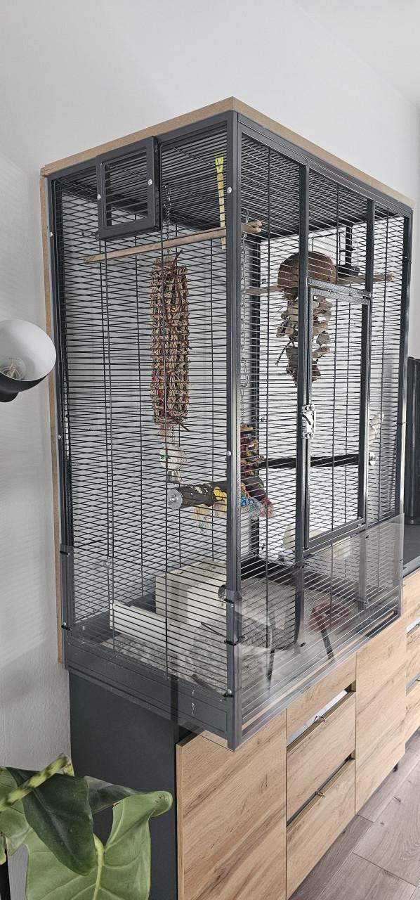 Koppeltje Agaponis fishiries met kooi