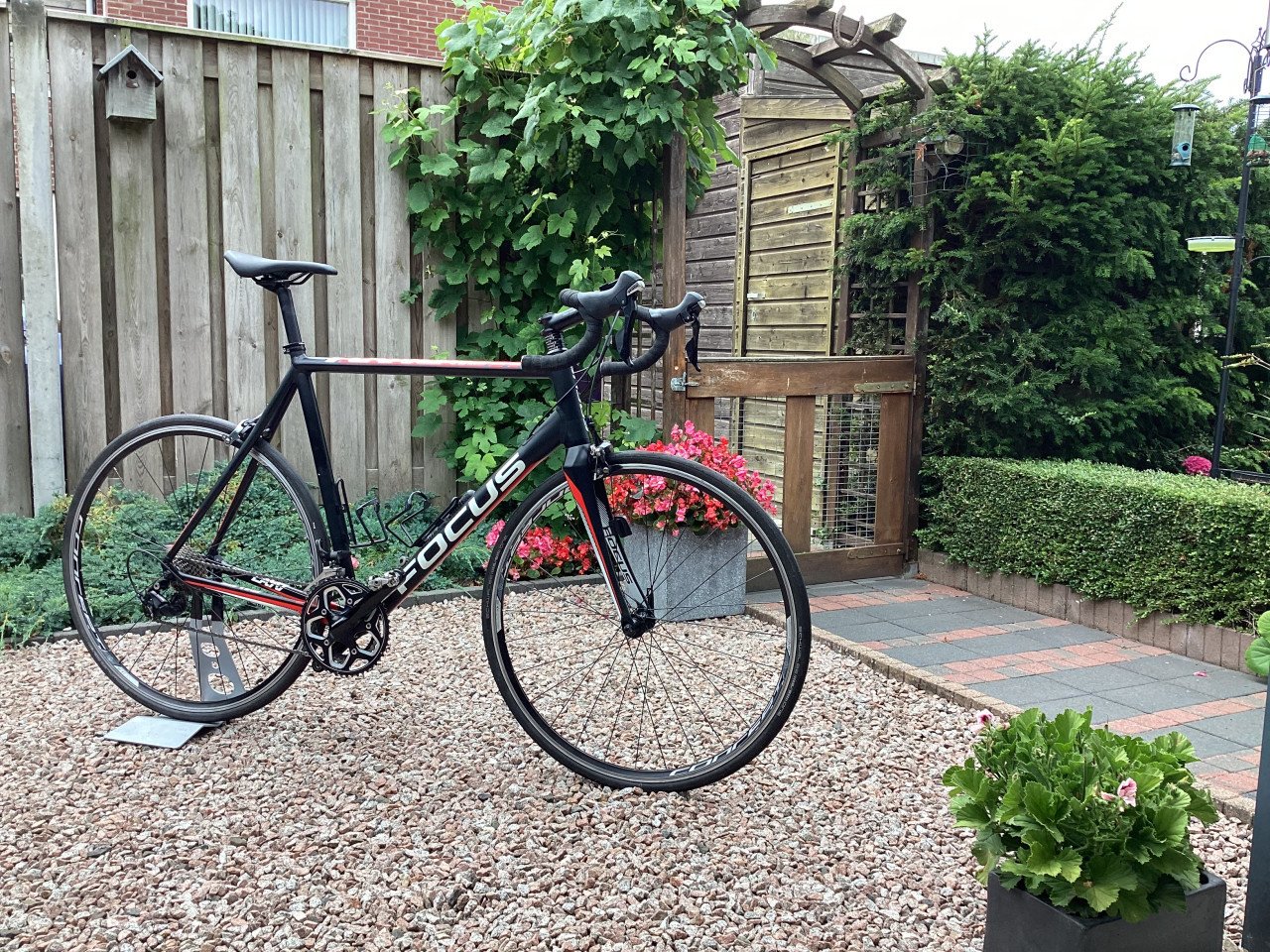Nette Racefiets Focus Cayo XL, 60 cm, c/t aluminium frame, carbon voorvork.