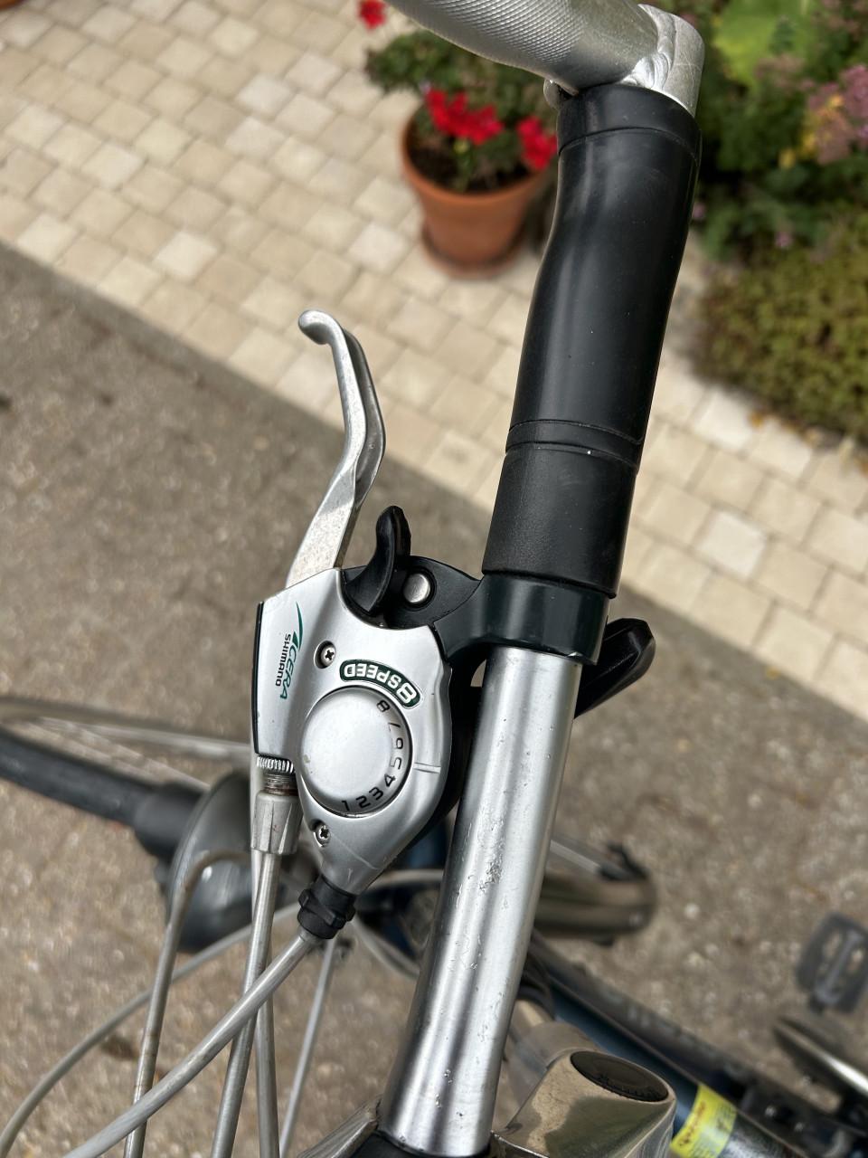 Herenfiets sportfiets Gazelle Cayo Track & Trail