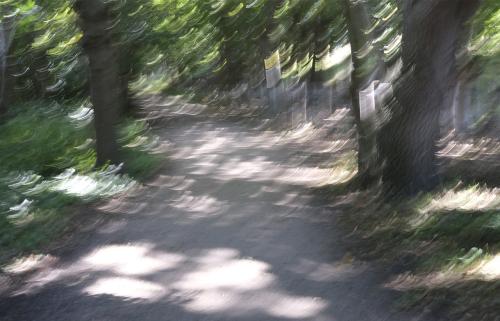 Lezing: fotograferen buiten de lijntjes