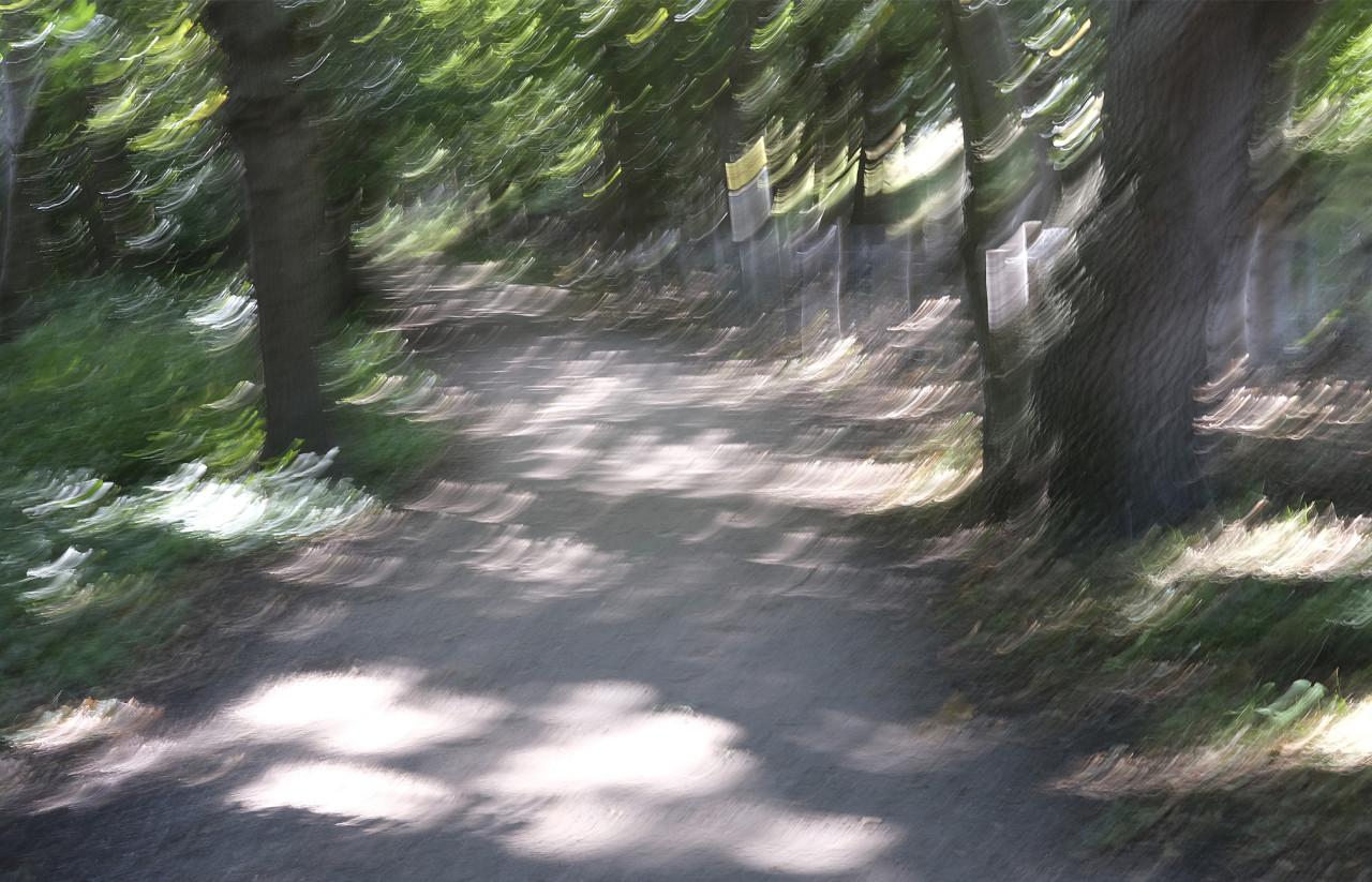 Lezing: fotograferen buiten de lijntjes