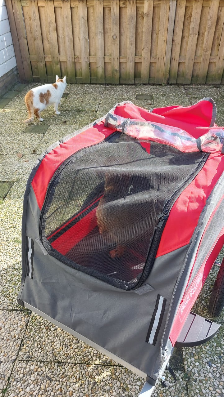 Honden kar in nieuw staat