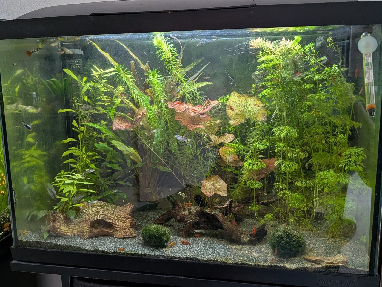 Aquarium