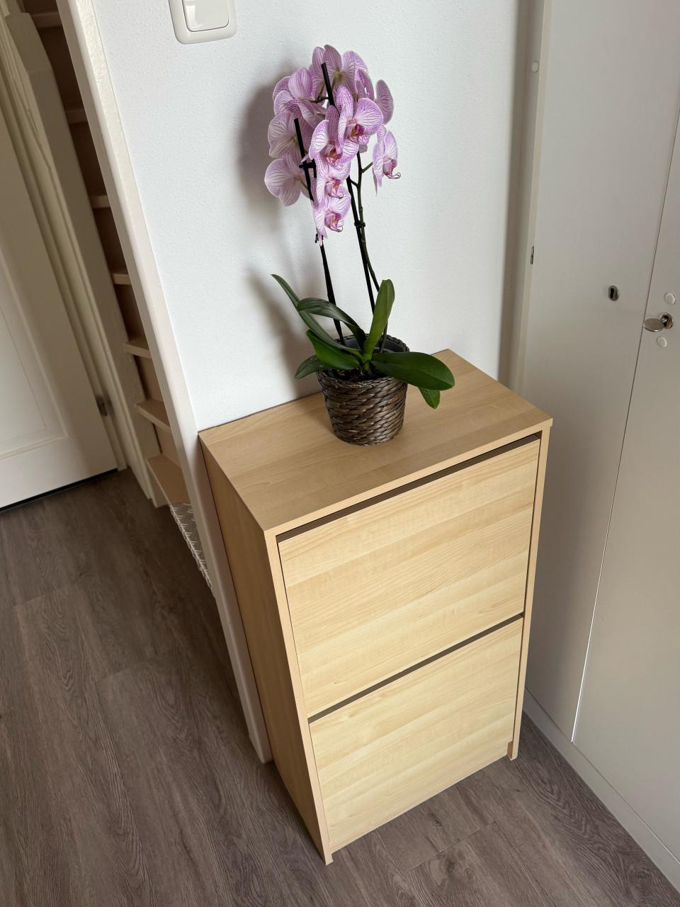 Leuk schoenenkastje met 2 kleppen