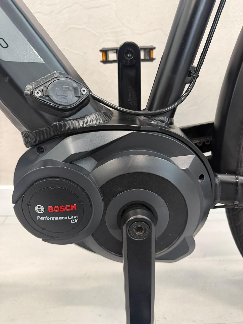 Pegasus Tecaro Evo Bosch Performance CX 50CM 500Wh Belt