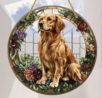 Raamhanger Golden retriever