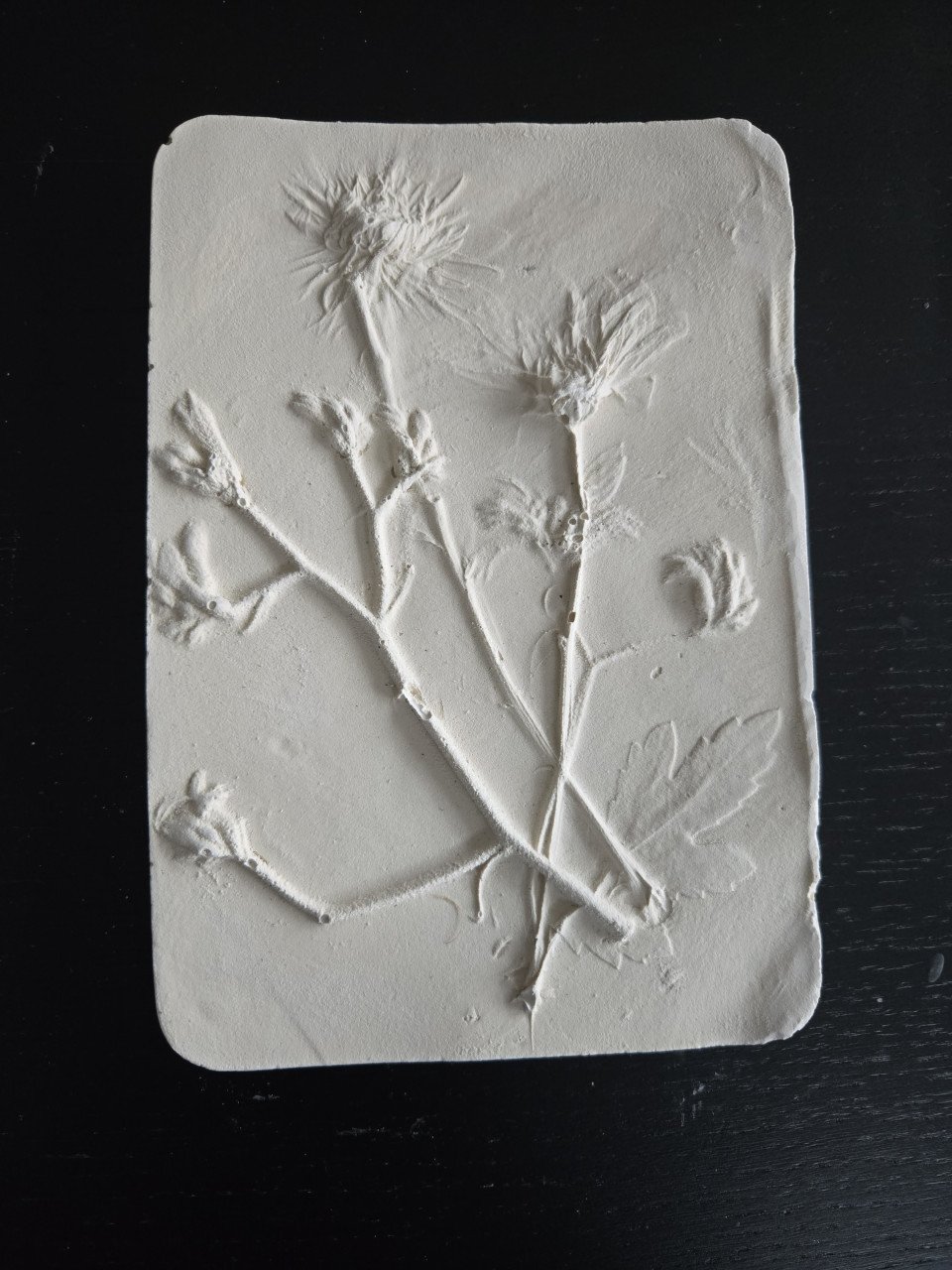 Workshop botanisch schilderijtje