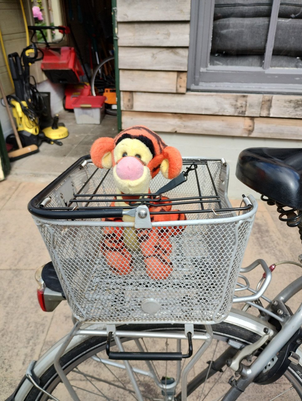 Fietsmand hondje