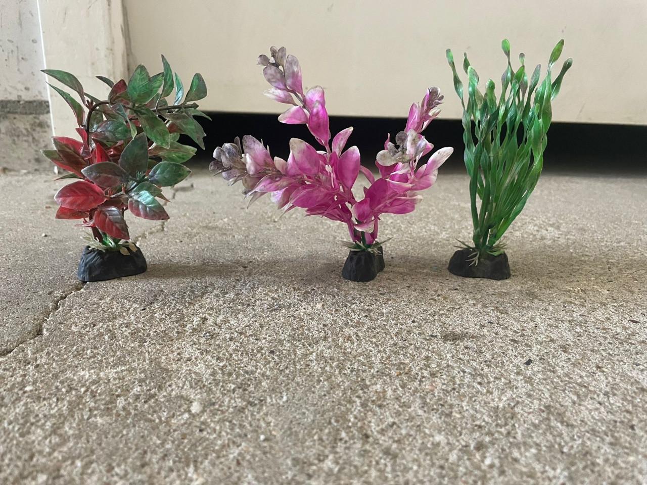 Aquarium met leuke accessoires