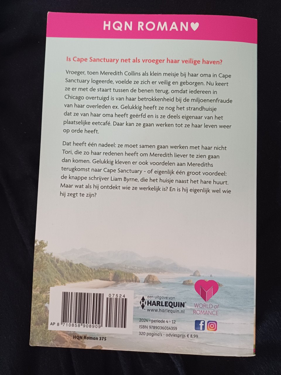 Boek RaeAnne Thayne - Zon in het verschiet