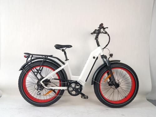 Nieuwe Elektrische fietsen