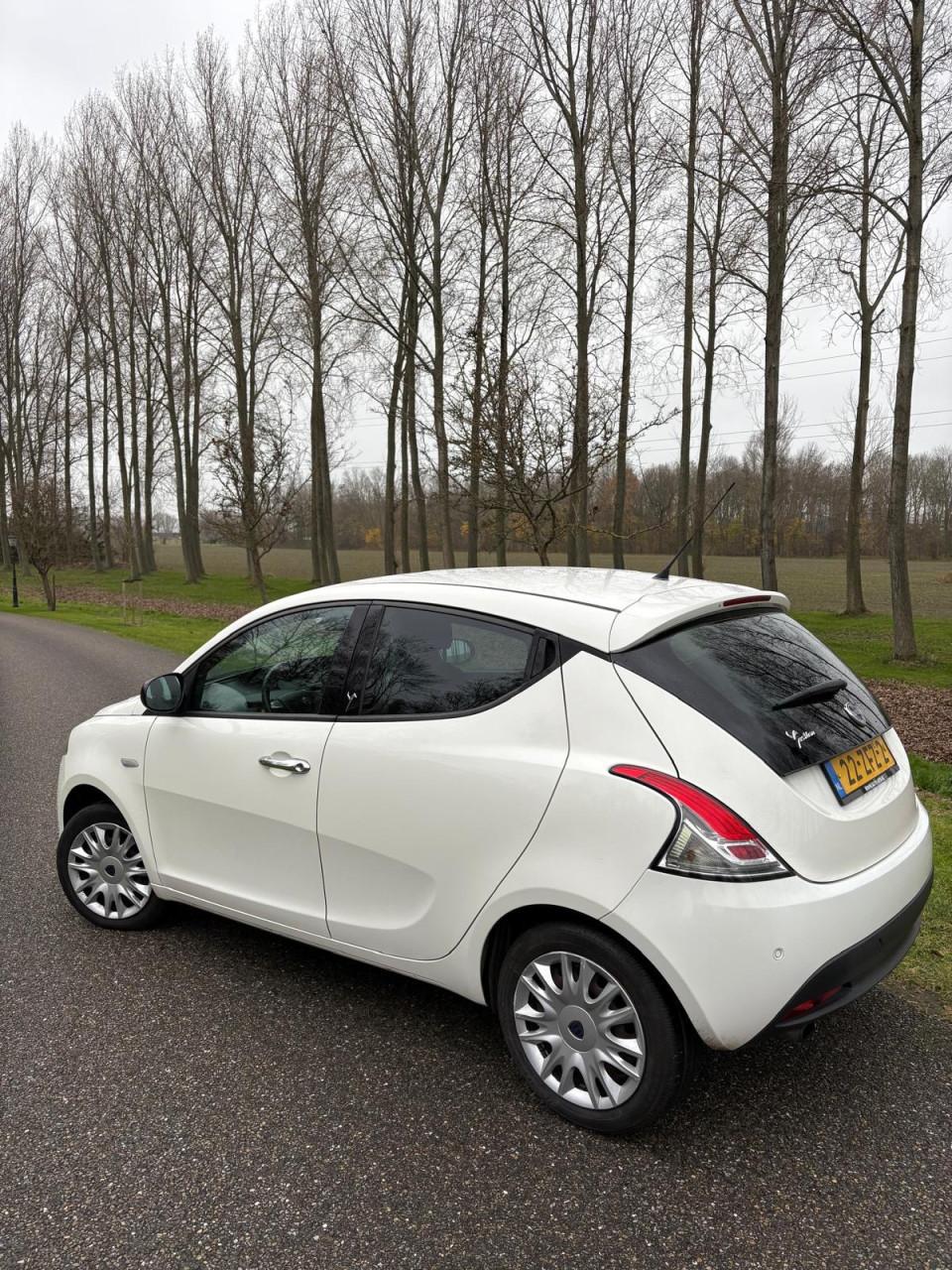 Lancia Ypsilon 0.9 TwinAir GOLD |AUT|CRUISE|A-LABEL