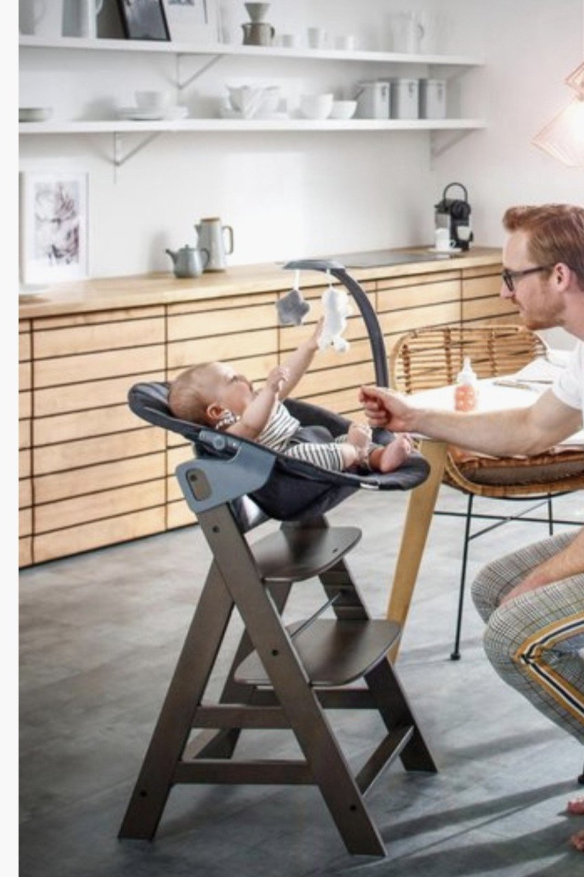 Hauck alpha bouncer wipstoel 2 in 1