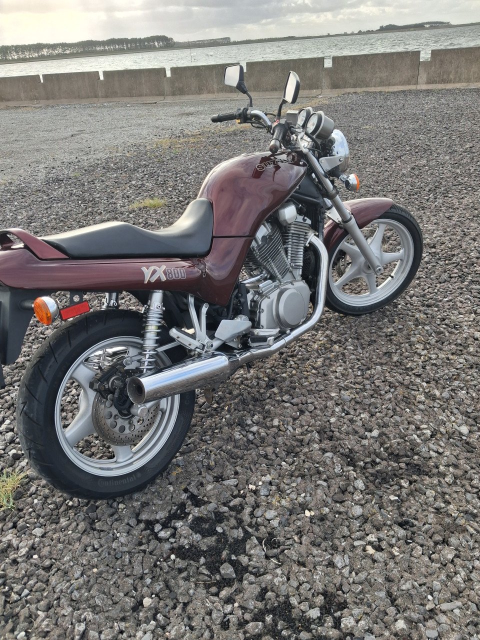 Suzuki  vx 800