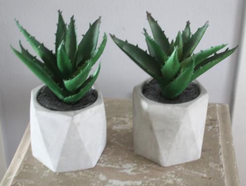 Set van 2 nep plantjes