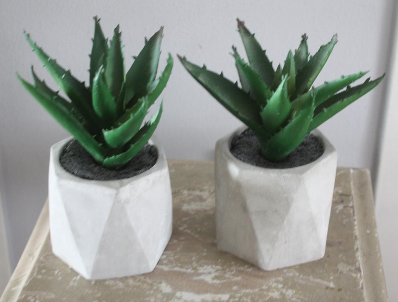 Set van 2 nep plantjes