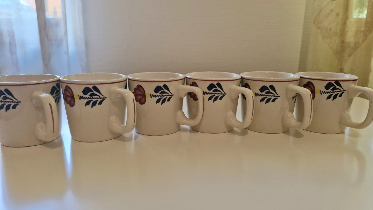 Boerenbont servies