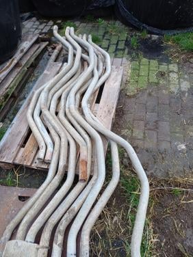 Gekartelde schoftboom 1.10