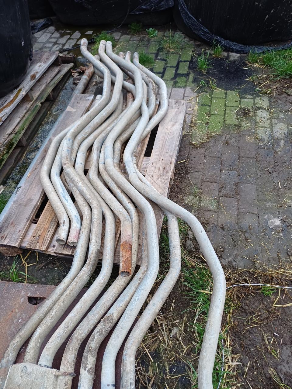 Gekartelde schoftboom 1.10