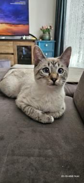 Nora zoekt een ander huisje