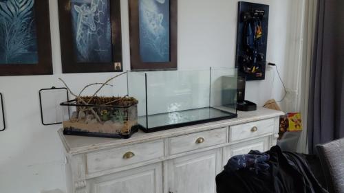 Aquarium