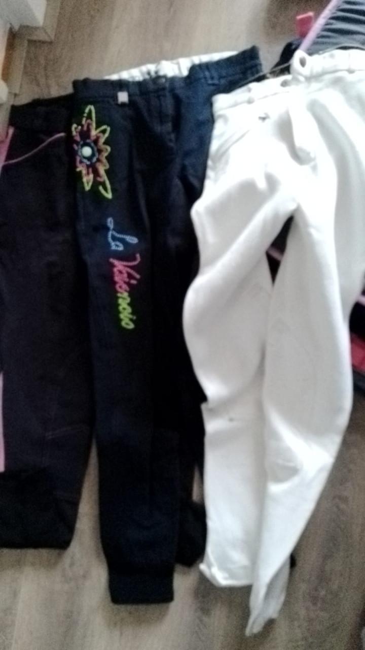 Heel veel paarden benodigdheden te koop wegens beëindigen hobby.