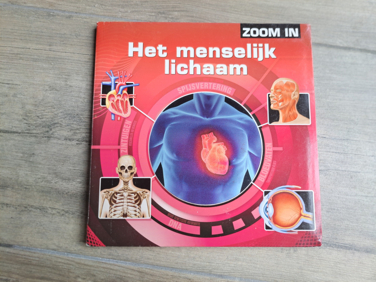 Het menselijk lichaam