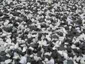 Siergrind, Siersplit, Sierstenen, Zwerfkeien - GRATIS geleverd in heel ZLD