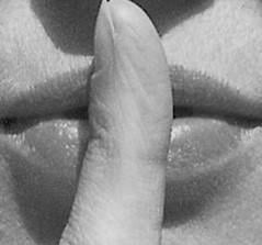 Uitgebouwde 2/1 kap in Vlissingen Rosenburg, preview