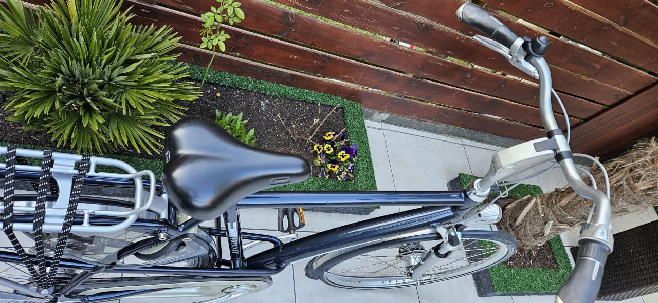 Batavus herenfiets Limited Edition