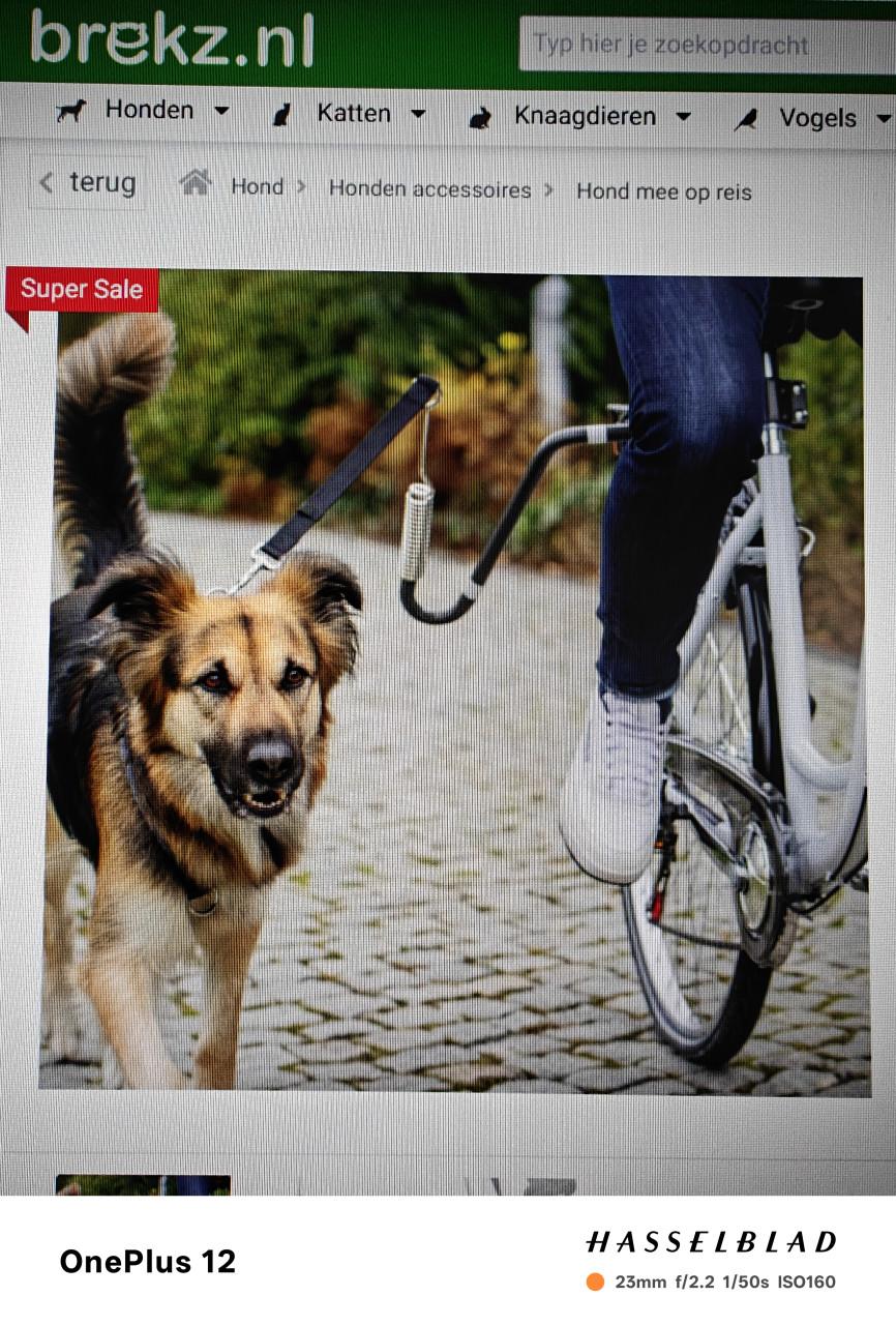 Fietsbeugel hond