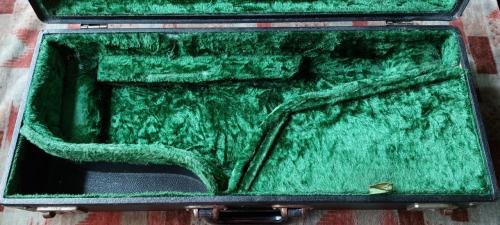 Alt Saxofoon koffer Groen