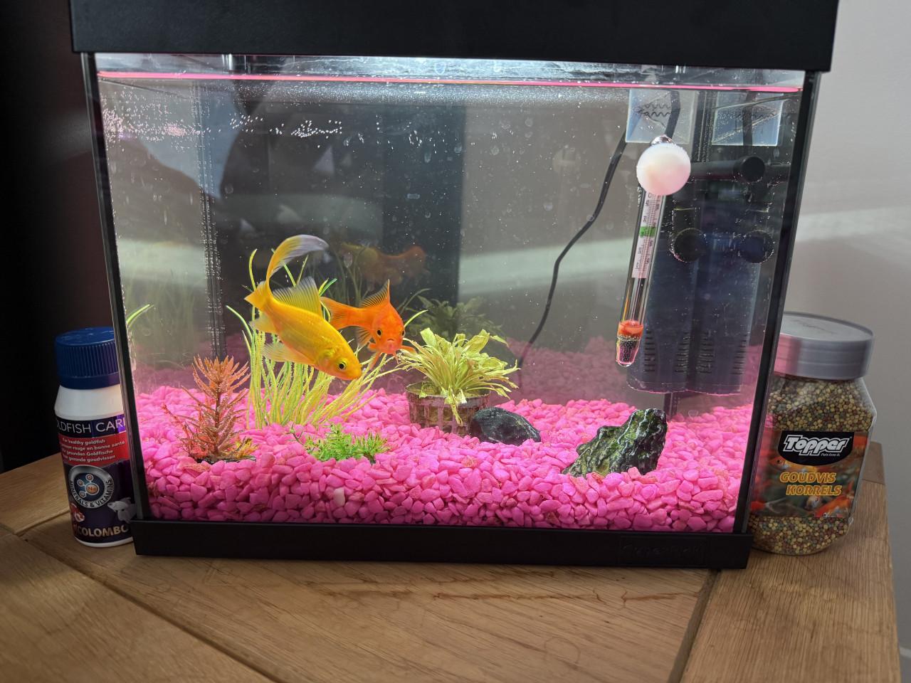 Aquarium