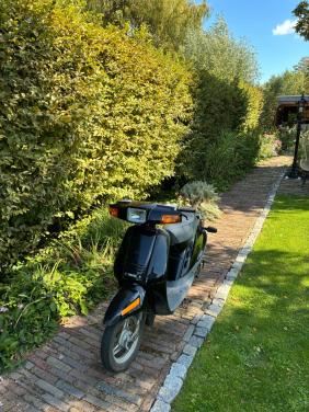 Yamaha mint