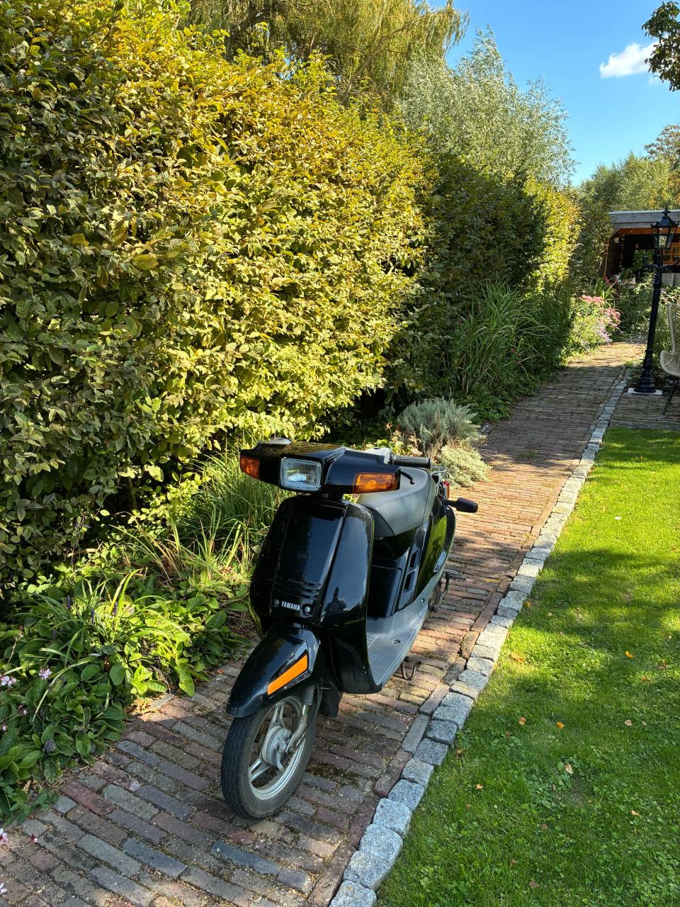 Yamaha mint