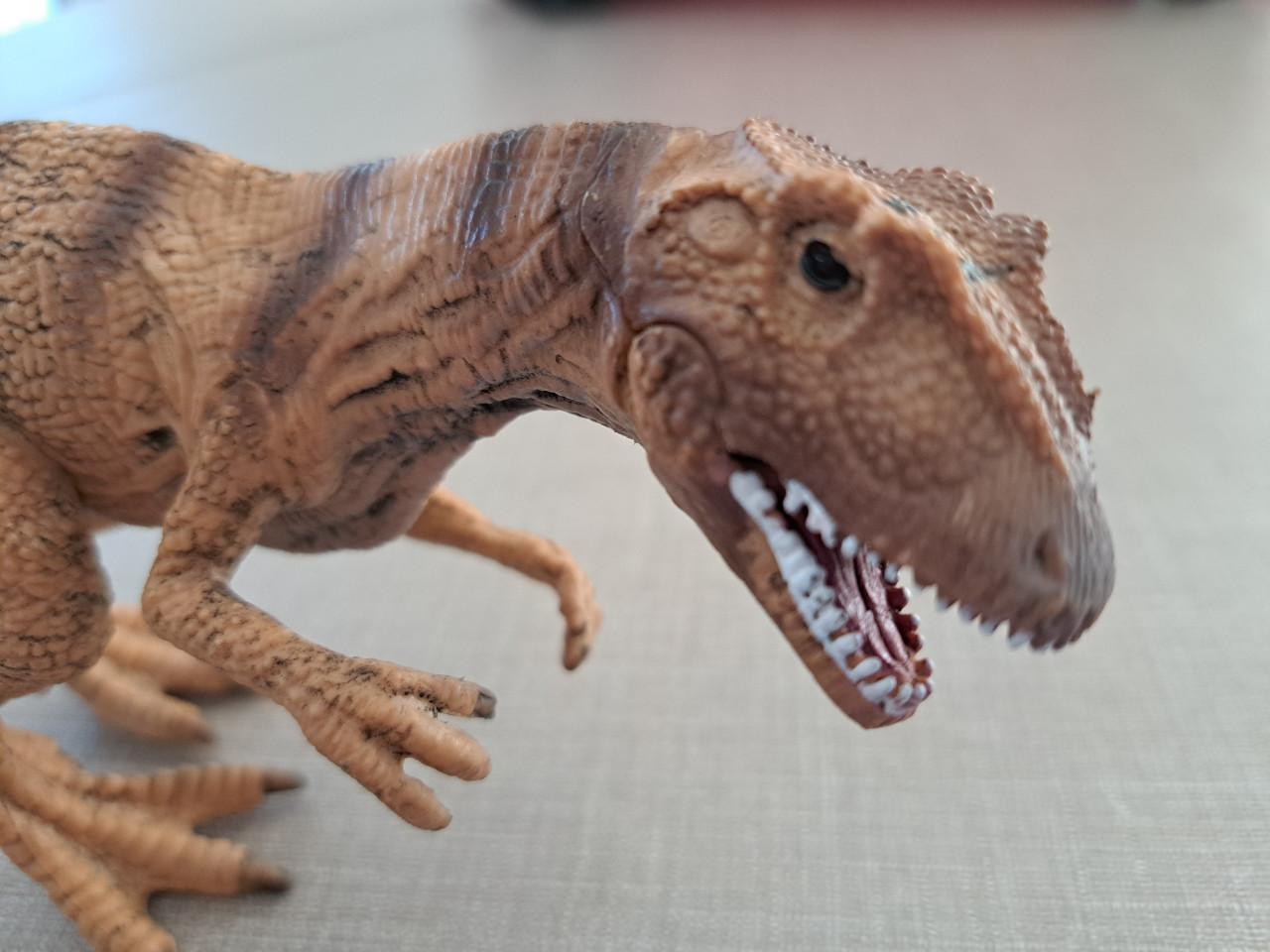 Dinosaurus Allosaurus stenen figuur