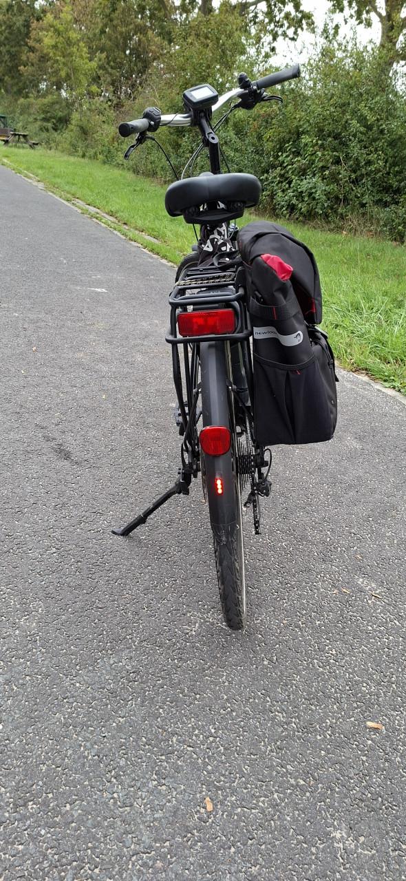 Piaggio Wi Bike