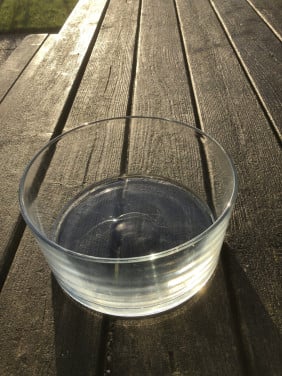 Ronde glazen schaal / vaas Ø25cm H10 cm