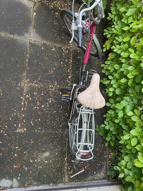 Damesfiets Batavus, station of op stap of studenten fiets