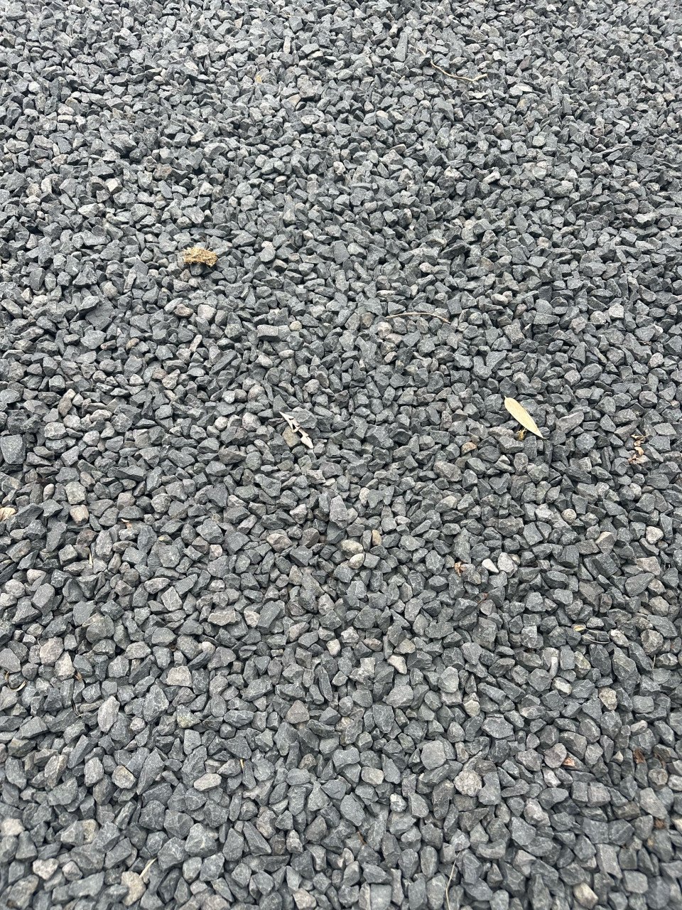 Gratis steentjes, grote hoeveelheid !!