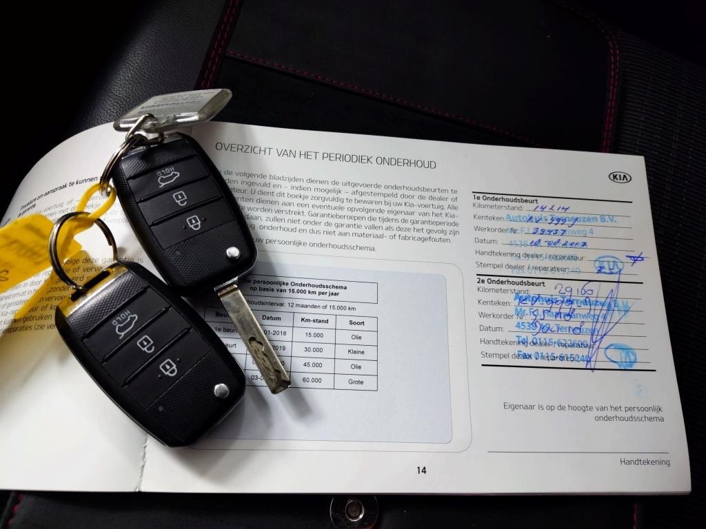 Kia Niro 1.6 gdi hybrid first edition | trekhaak
