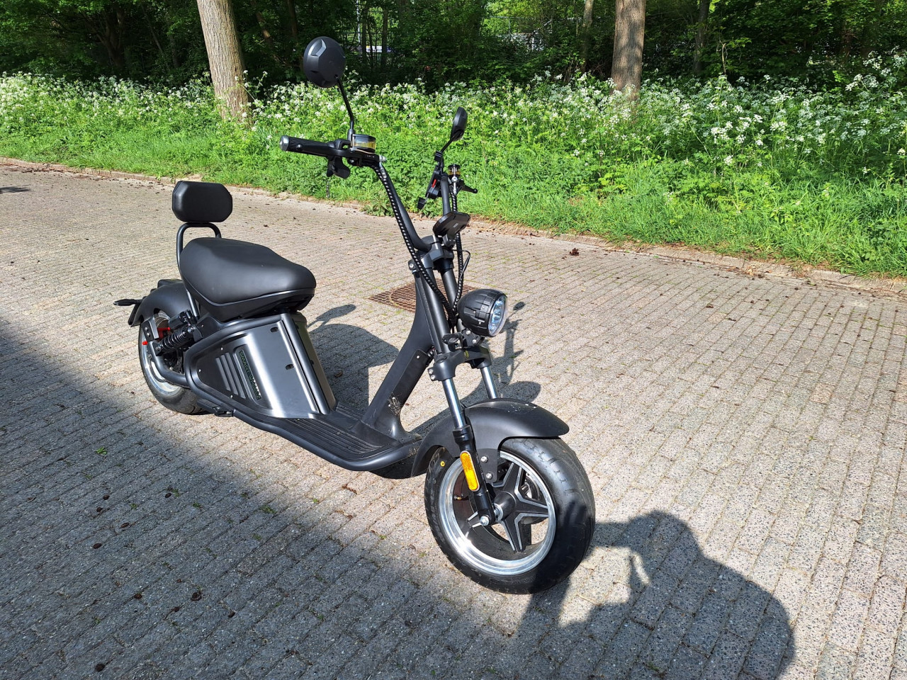 Smartwheelz/Mangosteen M2 e-chopper 2 stuks