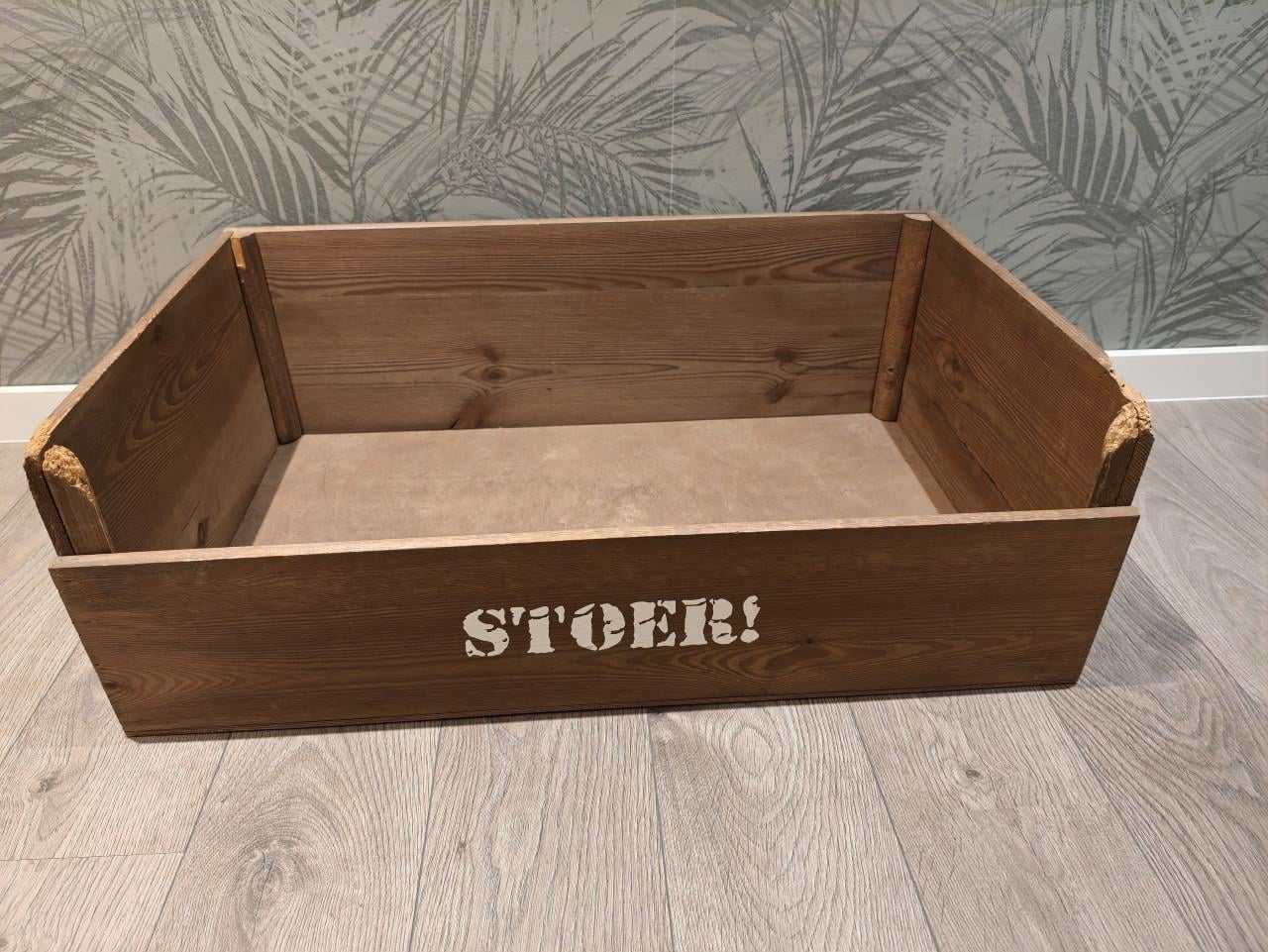 Honden manden en kussens