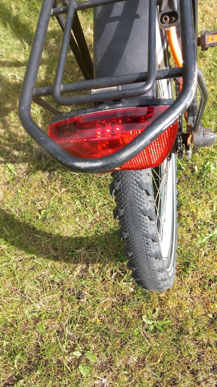 Batavus Snake 22 inch