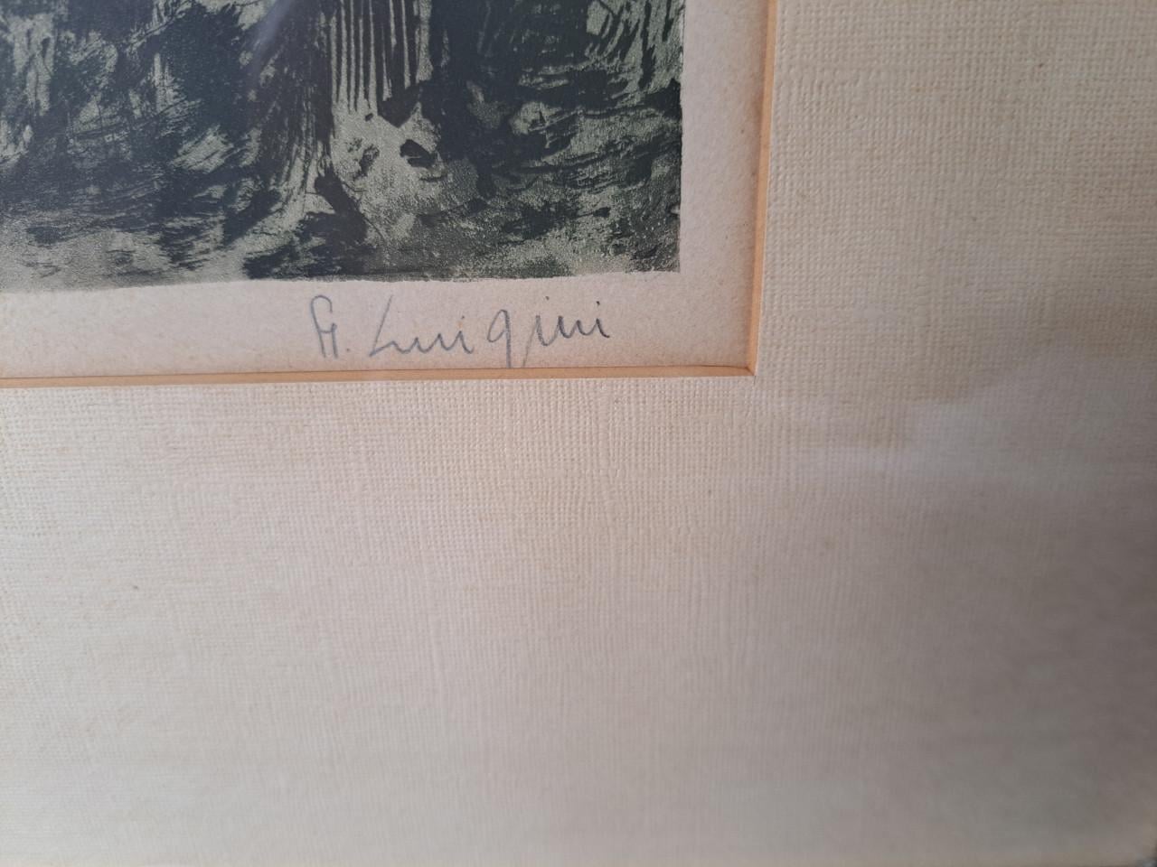 Te koop kleuren ets van F.J. Luigini